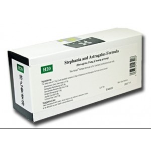 Fang Ji Huang Qi Tang, Boi-ogi-to, Stephania and Astragalus Formula, H20